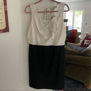 BRAND NEW LOFT DRESS